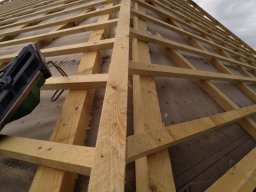 IMG_20231010_080929