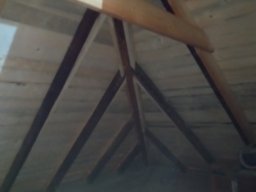 IMG_20231010_084745
