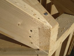 IMG_20231108_134223