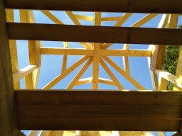 IMG_20231109_085333