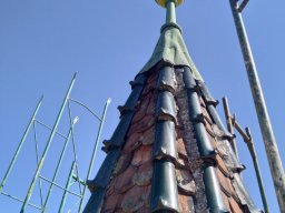 IMG_20220719_100815