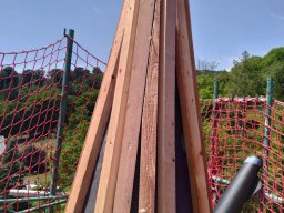 IMG_20220728_130337