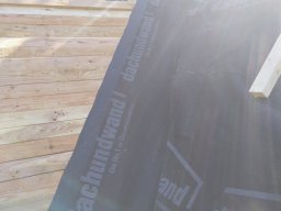 IMG_20220804_092426