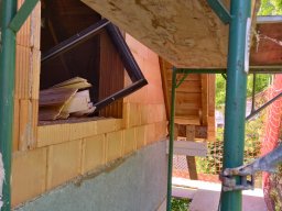 IMG_20220812_104721
