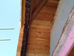 IMG_20220812_104839