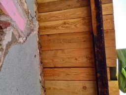 IMG_20220812_104846