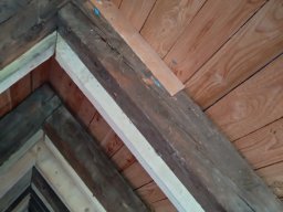 IMG_20220816_110534