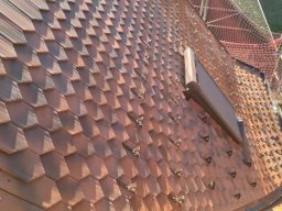 IMG_20221121_141555