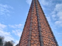 IMG_20221207_095057