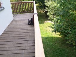 IMG_20230724_133257