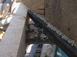 img-20240402-wa0436